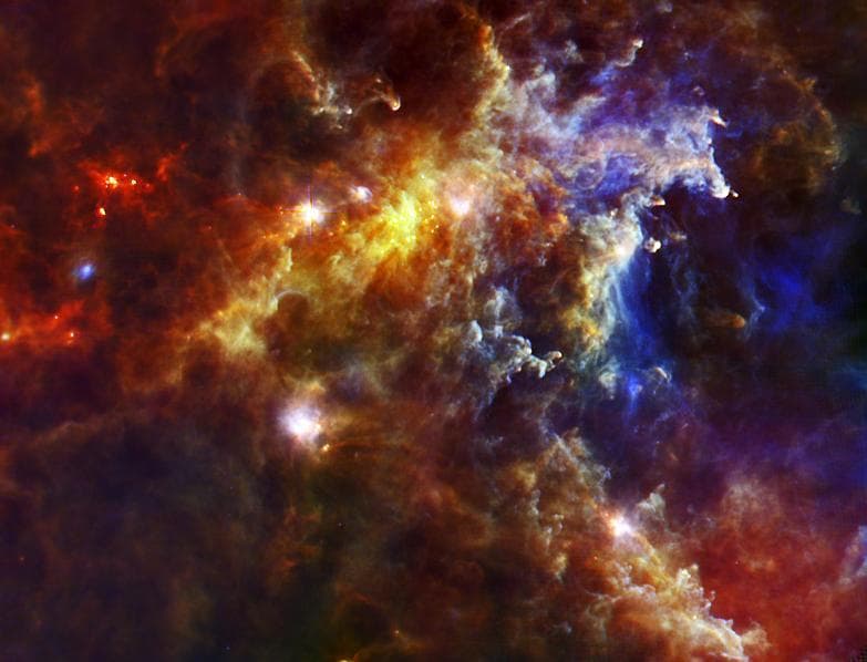 Big Babies in the Rosette Nebula