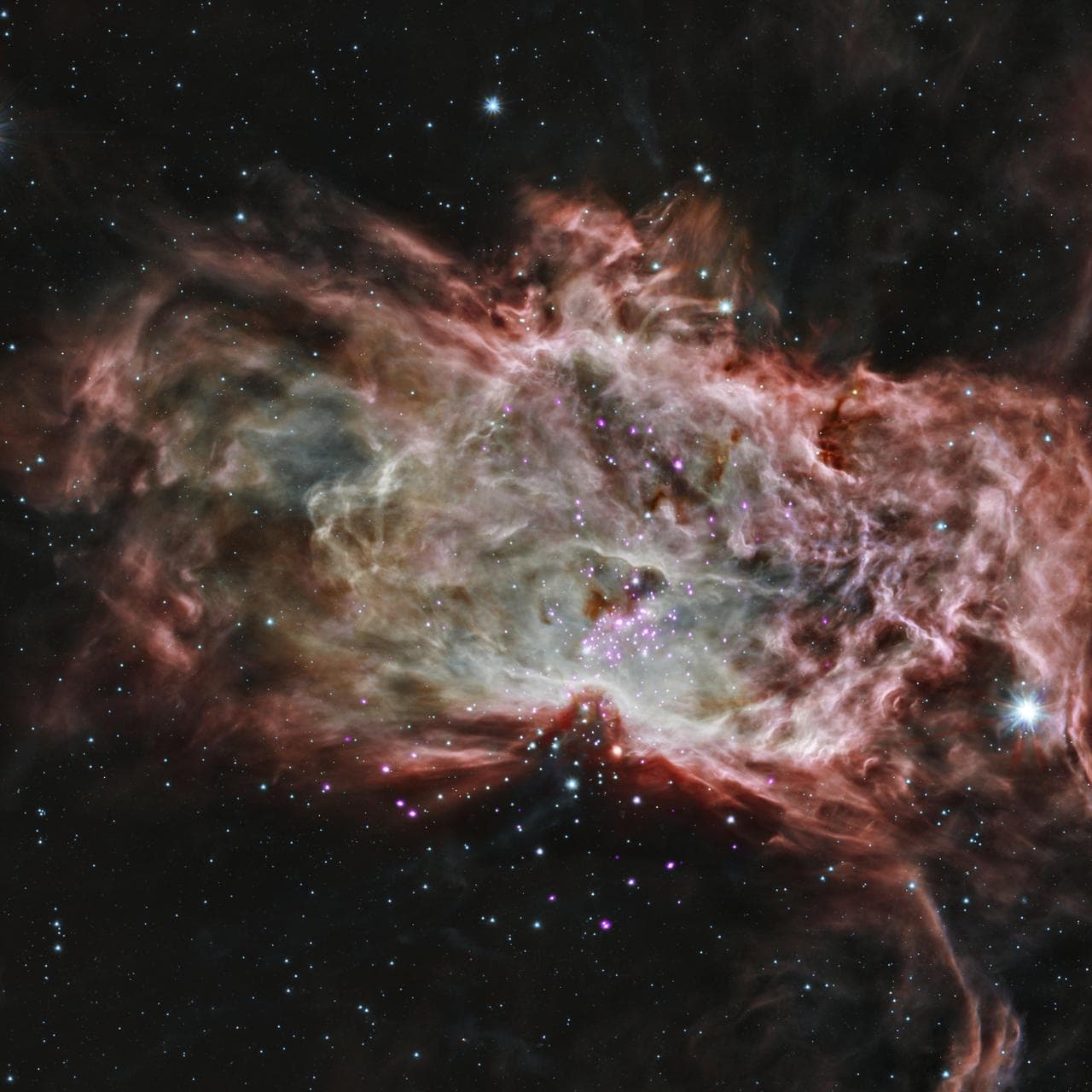 Inside the Flame Nebula